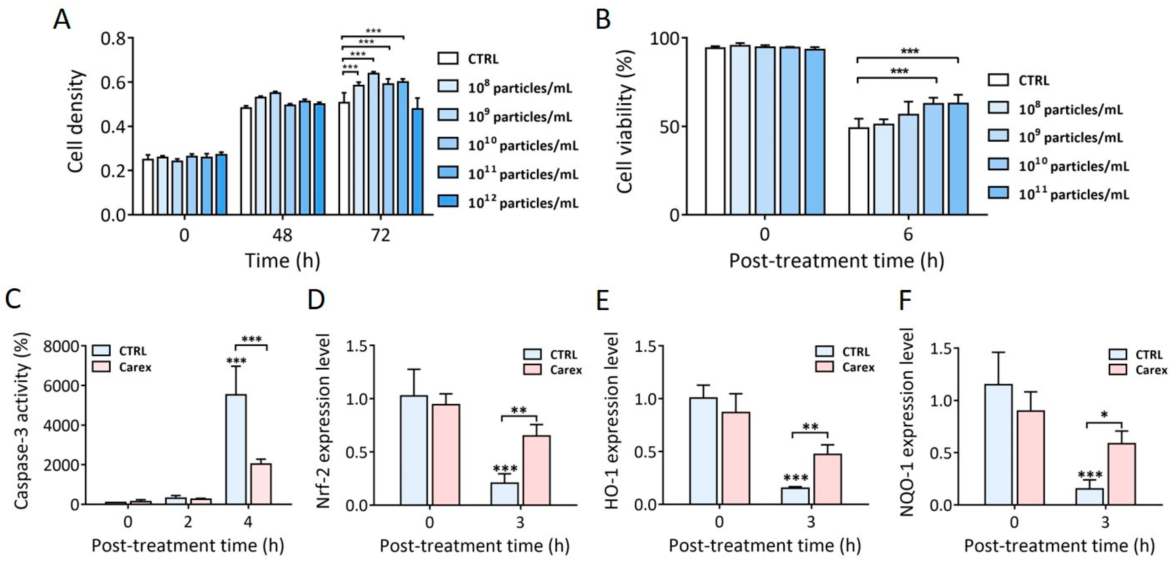 Carrot exosomes' impact on neuroblastoma cell health.